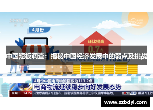 中国短板调查：揭秘中国经济发展中的弱点及挑战
